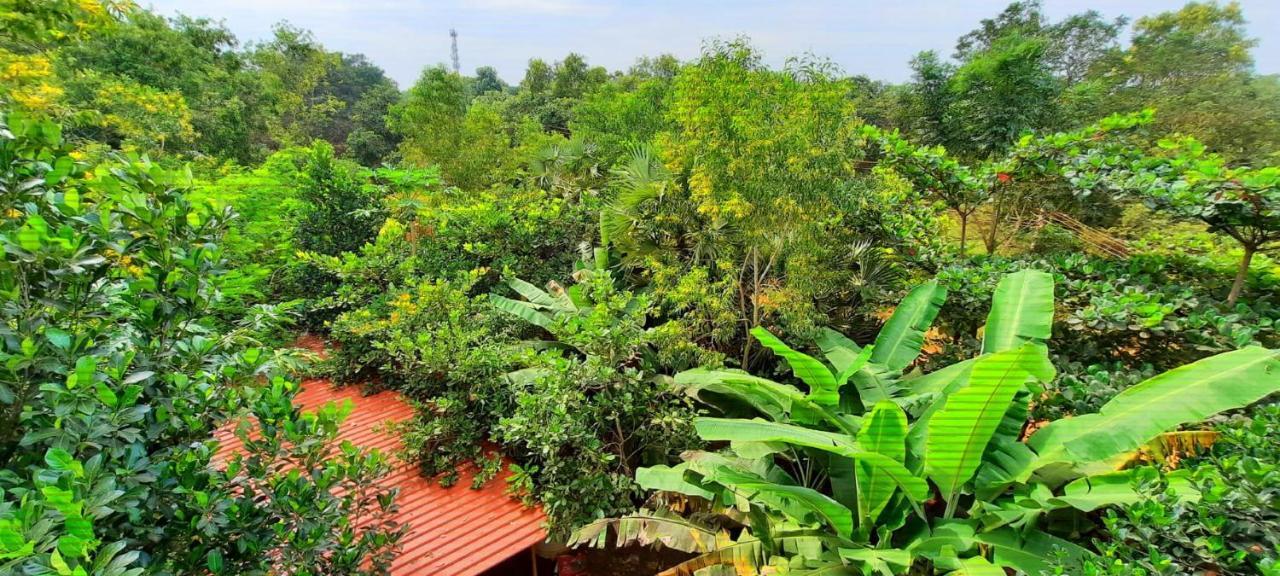 Unearth Hostel Auroville Exterior photo